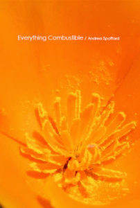 Everything Combustible